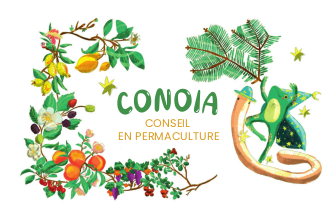Le logo de Conoia, des branches avecc des feuilles et des collines