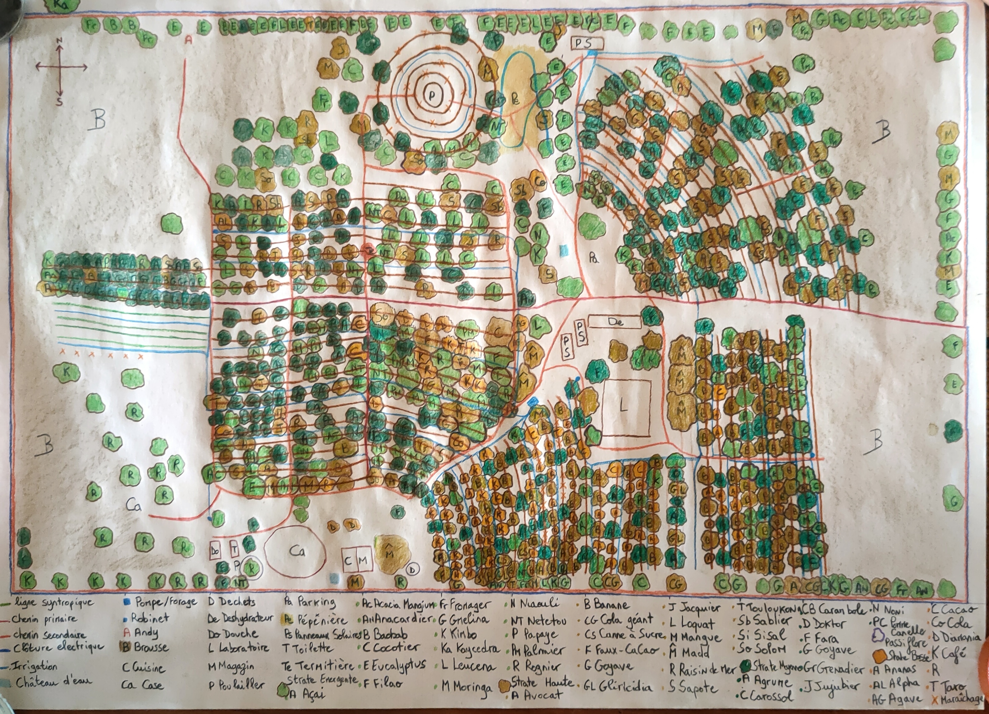 Diplôme de Permaculture Appliquée