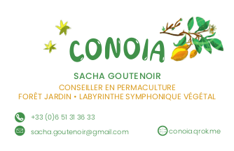 Le logo de Conoia, des branches avec des feuilles et des collines